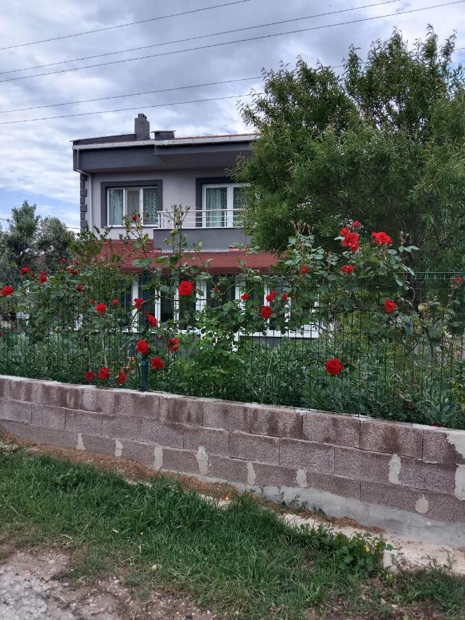 Aparthotel Cetin Apart Ezine Exterior foto